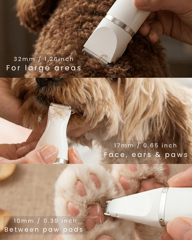 The Essential 4-in-1 Pet Grooming Kit & Grinder