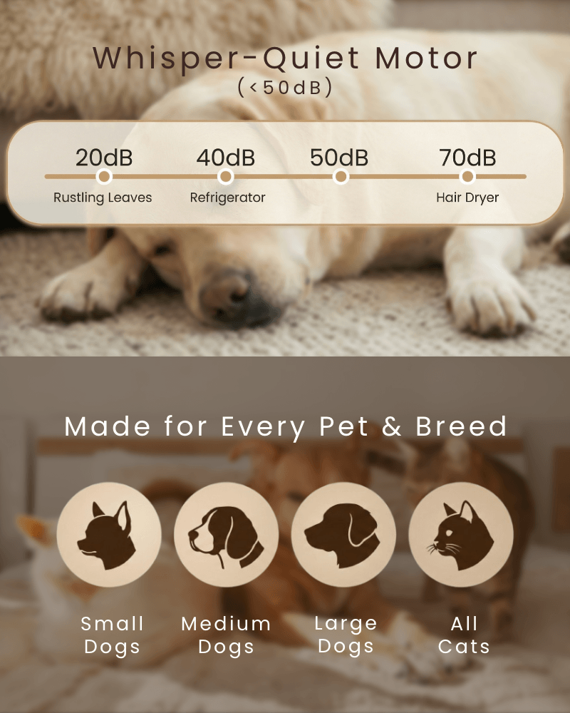 The Essential 4-in-1 Pet Grooming Kit & Grinder