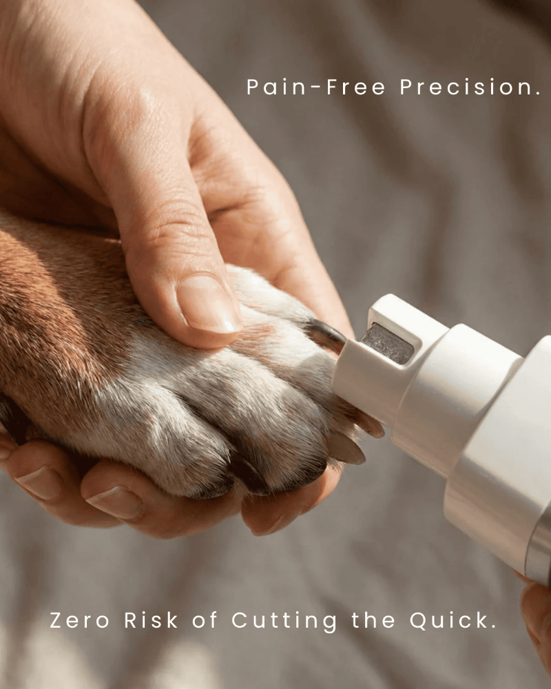 The Essential 4-in-1 Pet Grooming Kit & Grinder